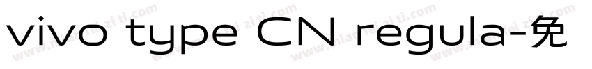 vivo type CN regula字体转换